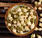 鮮茉莉花怎么炮制成茶？