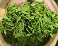 茶樹產(chǎn)量高嗎？一畝產(chǎn)多少斤？